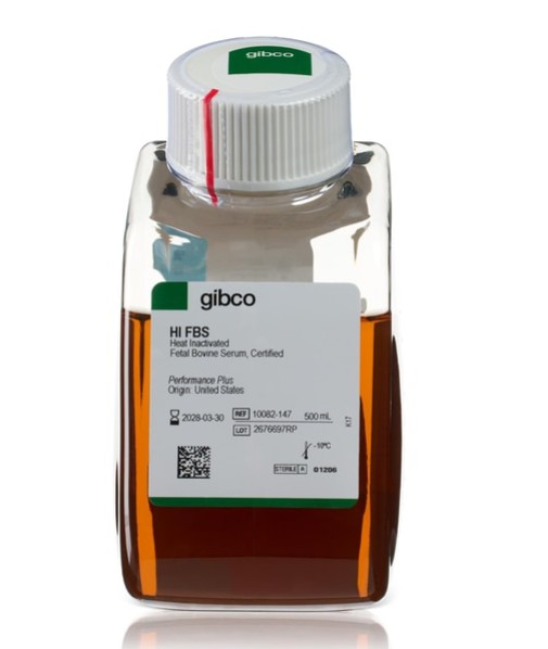[PROMO]  Gibco™ Fetal Bovine Serum, certified, heat inactivated, United States