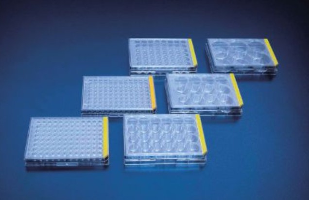 PROMO Tissue Culture Test Plate 96 Well 162 / cases