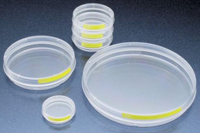 PROMO Tissue culture dish  150 mm 100 pcs / case 25 cases