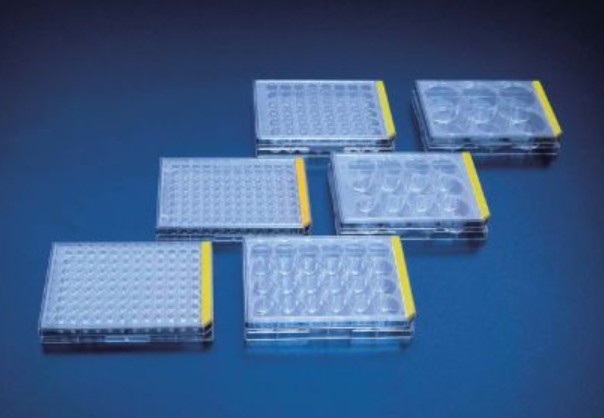 PROMO Tissue culture test plate, 24 wells 1 x 1/1 case