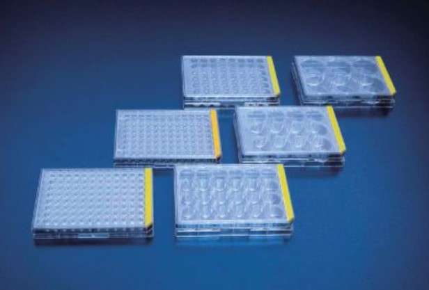 PROMO Tissue culture test plate, 6 wells 1 x 1/1 case