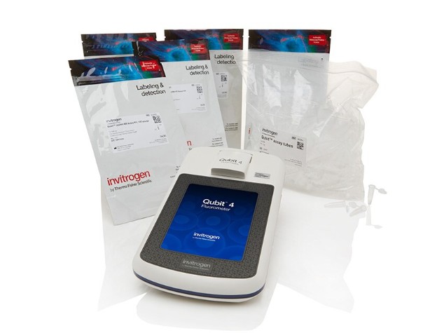 Qubit 4 All in HS RNA Assay