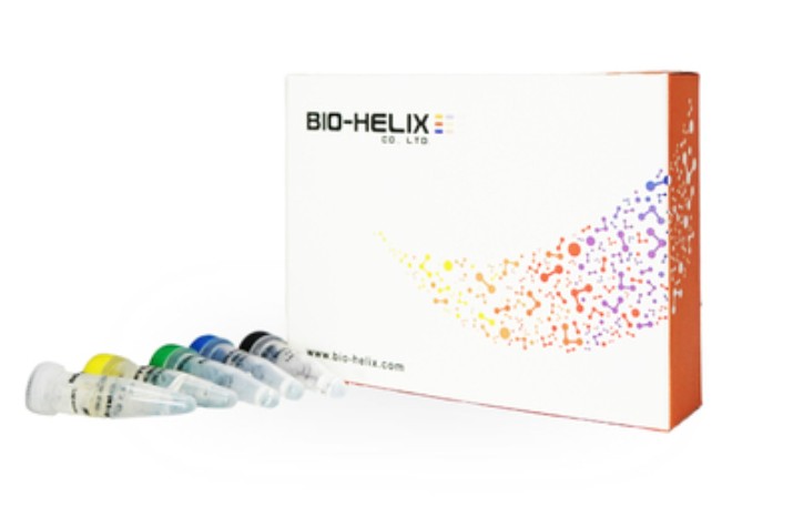 RScript cDNA Synthesis Kit ｜50 Rxns (copy)