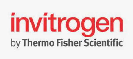 Invitrogen™ Platinum™ Quantitative PCR SuperMix-UDG