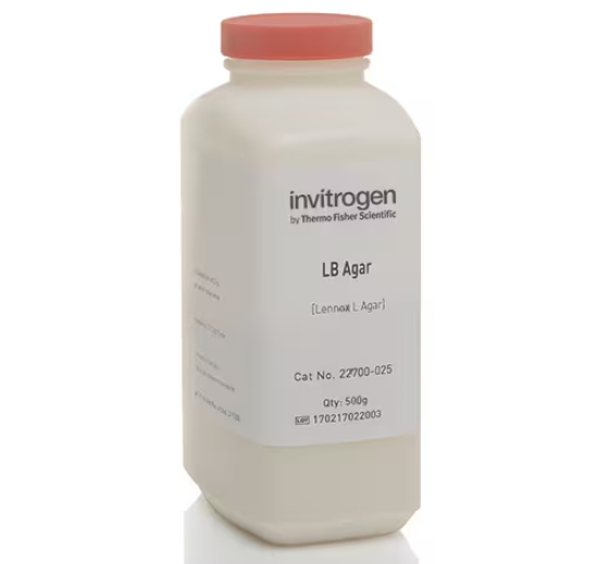 Invitrogen™ LB Agar, powder (Lennox L agar)