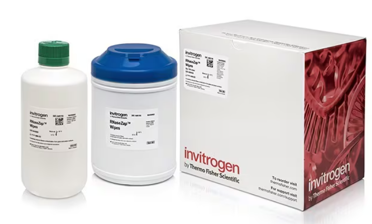 Invitrogen™ RNaseZap™ RNase Decontamination Wipes
