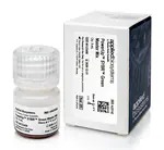 Invitrogen™ SureCast™ TEMED 30 mL