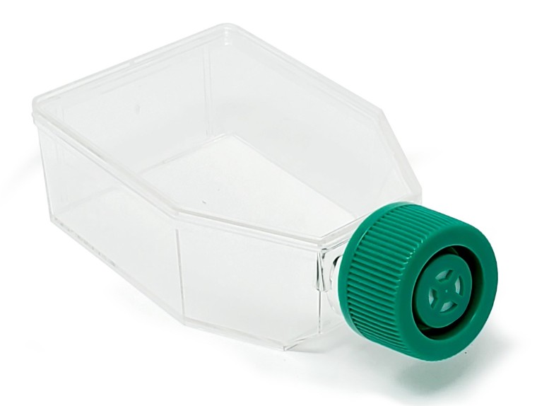 [SPL-70025] Tissue Culture Flask with Filter Cap,PS, 25cm2, TC treated, Sterile to SAL10-6, 5/200/case